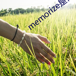 memorize是什么意思 （蜂起云涌）