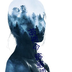 将军令 偷偷写文