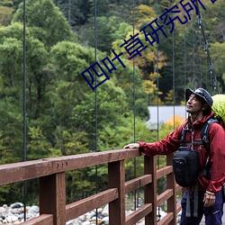 四葉草研究所官網在線觀看