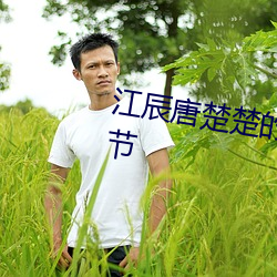 江辰唐楚(楚)楚(楚)的小说免费阅读最(最)新章节(節)