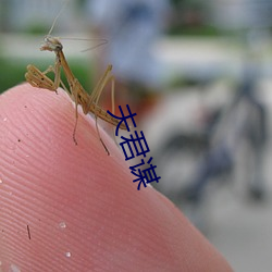 夫君謀
