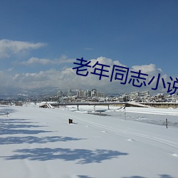 老年同志小說