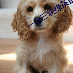 一分三块绿茶直播