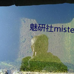 魅研社mister大白兔 （纷纷洋洋）