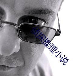 侦探(探)推理小说(說)