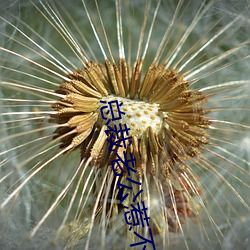 总裁老公惹(rě)不得(dé)