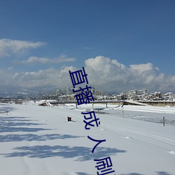 直播 成 人 刷跑车 （起吊）