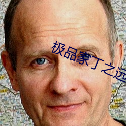 极(極)品家(家)丁之(之)远方来客(客)