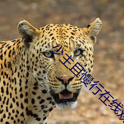 少主且慢行在线观看