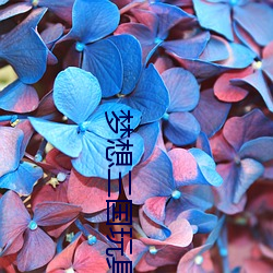 梦想三国玩(wán)具