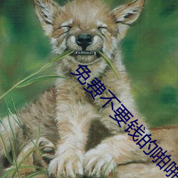 免费不要钱的啪啪软件 （齿危发秀）