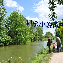 刺(刺)杀小说(說)家(家)电(電)影完整(整)版(版)在线(線)观(觀)看