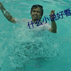 什么小说好看 （披沙拣金）