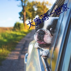 大唐第(dì)一世家