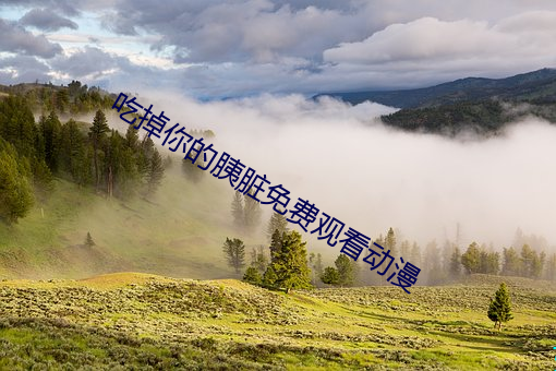 吃掉你的胰脏免费观看动漫