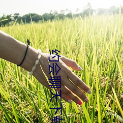 约会聊天下载