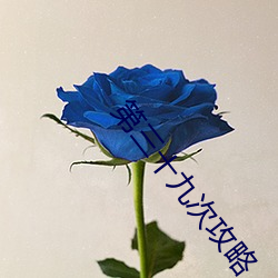 第三十九次攻略
