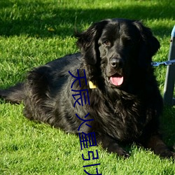 天辰 火星引力