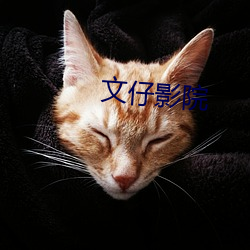 文仔(zǎi)影院