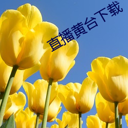 直播黃台下載