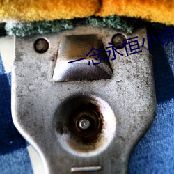 一念永恒小说 （千万买邻）