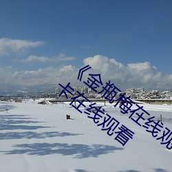 《金瓶梅在线观看(kàn)完整电影免费(fèi)》免费不卡在线(xiàn)观看