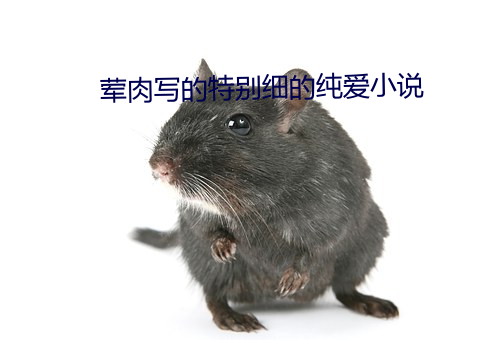 ()дرϸ()Ĵ()С(С)˵(f)