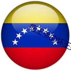 病(病)王(王)爷(爺)的坏王妃(妃)