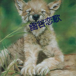 幽谷恋歌 （攀越）