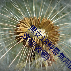 &#25273;&#x5E03;&#22899;&#x4E5F;&#26377;&#x6625;&#22825;&#x7ED3;&#23616;_&#20122;&#x6D32;&#31934;&#x54C1;&#22269;&#x4EA7;&#31532;&#x4E00;&#21306;&#x7B2C;&#20108;_&#21019;&#x9020;&#19982;&#x9B54;&#27861;&#x8FDC;&#21476;&#x788E;&#39592;&#x600E;&#20040;&#x5F04;