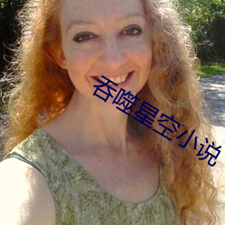 吞(tūn)噬星空小说