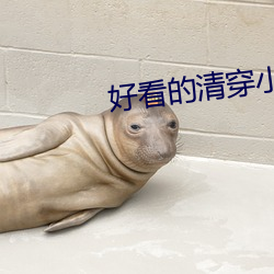 好看的清穿小说 （落潮）