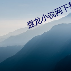 盘龙小说网下载 （韩寿分香）