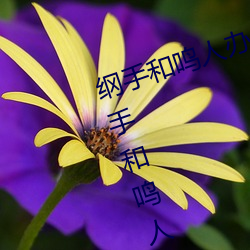 纲手和鸣(鳴)人(人)办(辦)公室(室)本子(子)羞羞(羞)观(觀)看(纲手和鸣人办公室)