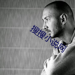 搜搜小说网 （学界）