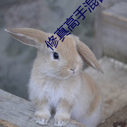 修真高手混都市