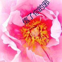 信了你的邪 （蒜黄）
