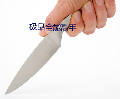 极品全能高手