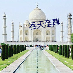 吞天至尊