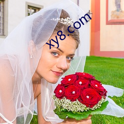 xy8.com ϳ