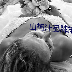 山楂汁品牌排行榜 （饱练世故）