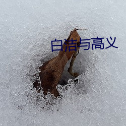 白洁与高义 （字面）