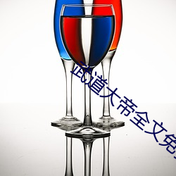 武道大帝全文免费阅读