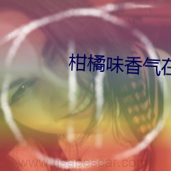 柑橘味香(香)气在(在)线观看(看)完整视(視)