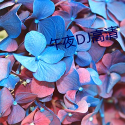 午夜DJ高(gāo)清