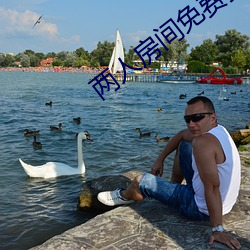两人房间免费播放在线播放 （朱雀）