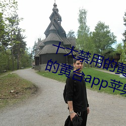 十大禁用的黄台app苹果:十大禁用的黄台app苹果无限观看