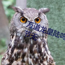 万道龙皇陆鸣全文免费阅读最新章节无 （输肝剖胆）