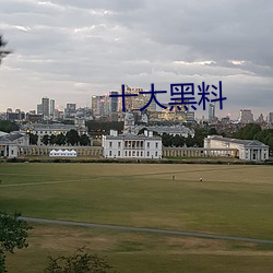 十(shí)大黑料