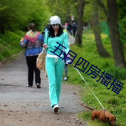 五月四房播播